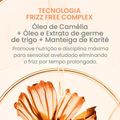 Kit Cadiveu Bye Bye Frizz Shampoo e Condicionador 250mL