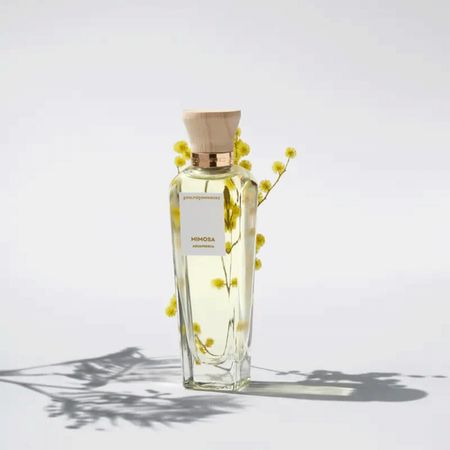Adolfo-Dominguez-Mimosa-Eau-de-Toilette---Perfume-Feminino-120ml-120ml--6