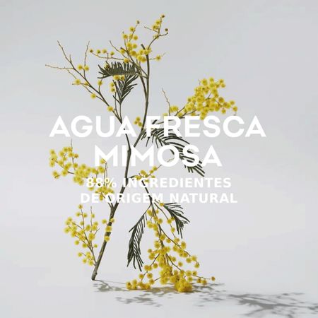 Adolfo-Dominguez-Mimosa-Eau-de-Toilette---Perfume-Feminino-120ml-120ml--4