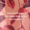 Rich Honeysuckle Apricot - Victoria's Secret Body Mist 250ml