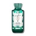 Ginghan Fresh - Bath and Body Works Body Lotion - 236ml