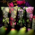 Love Spell Untamed - Victoria's Secret Body Lotion 236ml