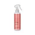 Kit Cadiveu Essentials Bye Bye Frizz- Shampoo 250 ml + Condicionador 250 ml +Leave- in Selagem 200 ml