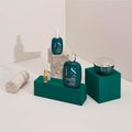 Shampoo SDL Reconstruction Low 250ml - Alfaparf