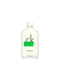 Perfume Calvin Klein CK One Reflections Masculino EDT 100ml