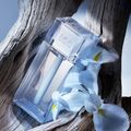 Dior Homme Cologne Dior - Perfume Masculino - Eau de Toilette 125ml