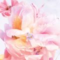 Roller Pearl Dior Miss Dior Blooming Bouquet - Eau de Toilette 20ml