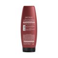 Aneethun Force Máscara Fortalecedora 250g