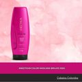 Aneethun Color Máscara Brilho 250g