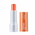 Protetor Labial Vult Soleil Fps15 Cranberry Vegano 3,6g