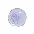 Booster Pro-aging Dailus Feat Mentos Grape 15ml