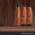 Aneethun Kera Shampoo 300ml + Máscara 250g + Leave in 250g
