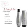Aneethun Blond Shampoo Matizador 300ml + Máscara Matizadora 250g