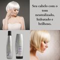 Aneethun Blond Shampoo Matizador 300ml + Máscara Matizadora 250g