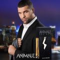 Animale For Men Eau de Toilette Masculino-30 ml