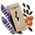 Gold Animale Eau de Toilette Masculino-30 ml