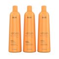 Richée Argan e Ojon Progressiva (3 x 1 Litro)