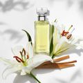 Eternity Calvin Klein Eau de Parfum Feminino-50 ml