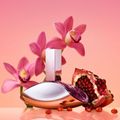 Euphoria Calvin Klein Eau de Parfum Feminino -100 ml