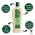 Shampoo Antiqueda Bio Extratus Jaborandi 500ml