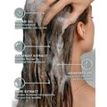 Kit Moroccanoil Frizz Control - Shampoo 250ml + Condicionador 250ml
