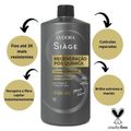 Condicionador Siage Eudora Regeneração Pós Química 1l