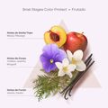 Braé Stages Color Protect Condicionador 250ml