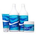Kit Lowell Extrato de Mirtilo Cuidado Total (4 Produtos)