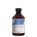 Shampoo Davines Naturaltech Rebalancing 250 ml