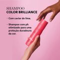 Kit Wella Professionals Invigo Brilliance Miracle Shampoo Leave-in (2 produtos)