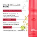 Kit Wella Professionals Invigo Brilliance Miracle Shampoo Leave-in (2 produtos)
