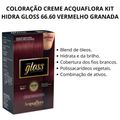 Coloração Creme Acquaflora Kit Hidra Gloss 66.60 Vermelho Granada