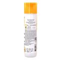 Shampoo Salon Line Meu Liso Muito + Liso 300ml
