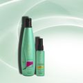 Aneethun Cachos Shampoo 300ml + Óleo de Hidratação 55ml