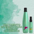 Aneethun Cachos Shampoo 300ml + Óleo de Hidratação 55ml