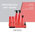 Aneethun Restore Shampoo Restaurador 1l