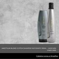 Aneethun Blond Shampoo Matizante 300ml + Máscara Cinza 250g
