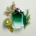 Perfume Coach Green Masculino Eau de Toilette 100 ml 100 ml