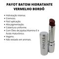 Batom Hidratante Payot Vermelho Bordô 3,6g