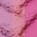 Blush em Pó Solto Catrice Disney Pixar Procurando Dory 010 Reef Reflection