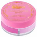 Blush em Pó Solto Catrice Disney Pixar Procurando Dory 010 Reef Reflection