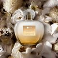 Antonio Banderas Her Golden Secret Eau de Toilette - Perfume Feminino 50ml 50ml