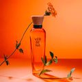 Adolfo Dominguez Verbena Eau de Toilette - Perfume Feminino 120ml 120ml