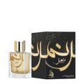 Al Absar Nimr Eau de Parfum - Perfume Masculino 100ml 100ml