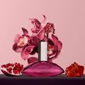 Euphoria Calvin Klein - Eau de Parfum - 100ml