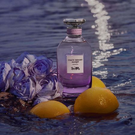 Perfume-Coach-Dreams-Moonlight-Eau-de-Parfum-Feminino-60-ml-60-ml--4