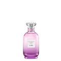 Perfume Coach Dreams Moonlight Eau de Parfum Feminino 90 ml 90 ml