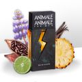 Perfume Animale Animale For Men Masculino Eau de Toilette 100 ml 100 ml