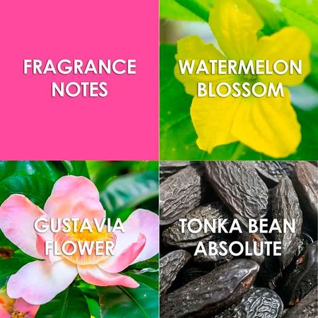 Perfume-Britney-Spears-Jungle-Fantasy-Feminino-Eau-de-Toilette-30-ml-30-ml--5