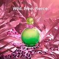 Perfume Britney Spears Jungle Fantasy Feminino Eau de Toilette 30 ml 30 ml
